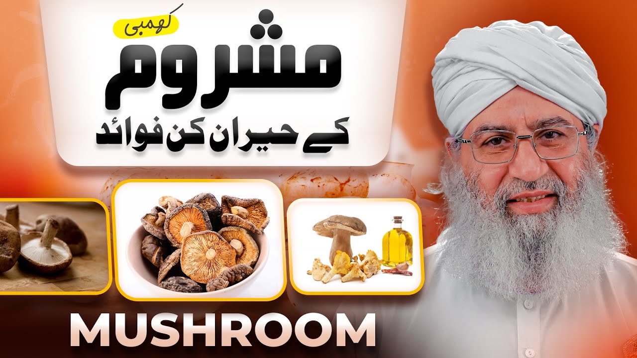 Amazing Benefits Of Mushrooms | Health Benefits | Mashroom Ke Faiday | Haji Shahid Attari